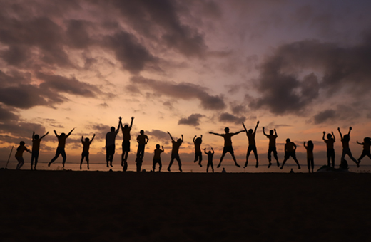 协会网站建设方案