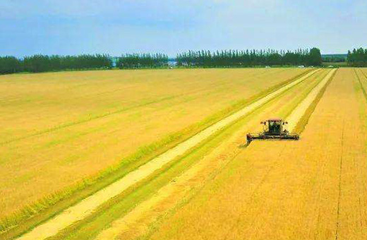 蒙东瓮福现代农业服务